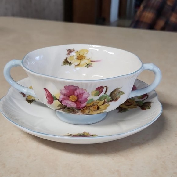 Vtg Shelley Dainty Fine Bone China Begonia Cream Soup Bowl and Plate - Picture 2 of 14